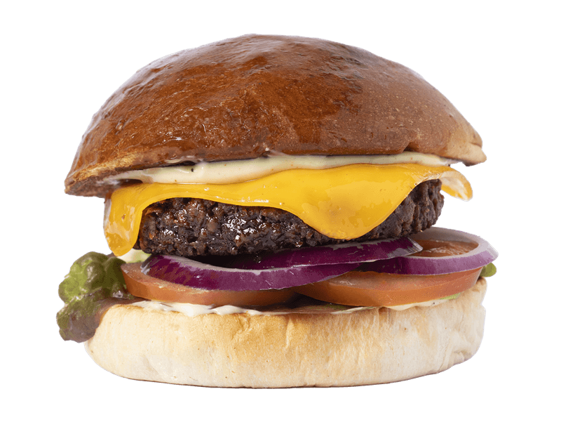 Hamburguesa FORA FÚA (VEGANA)